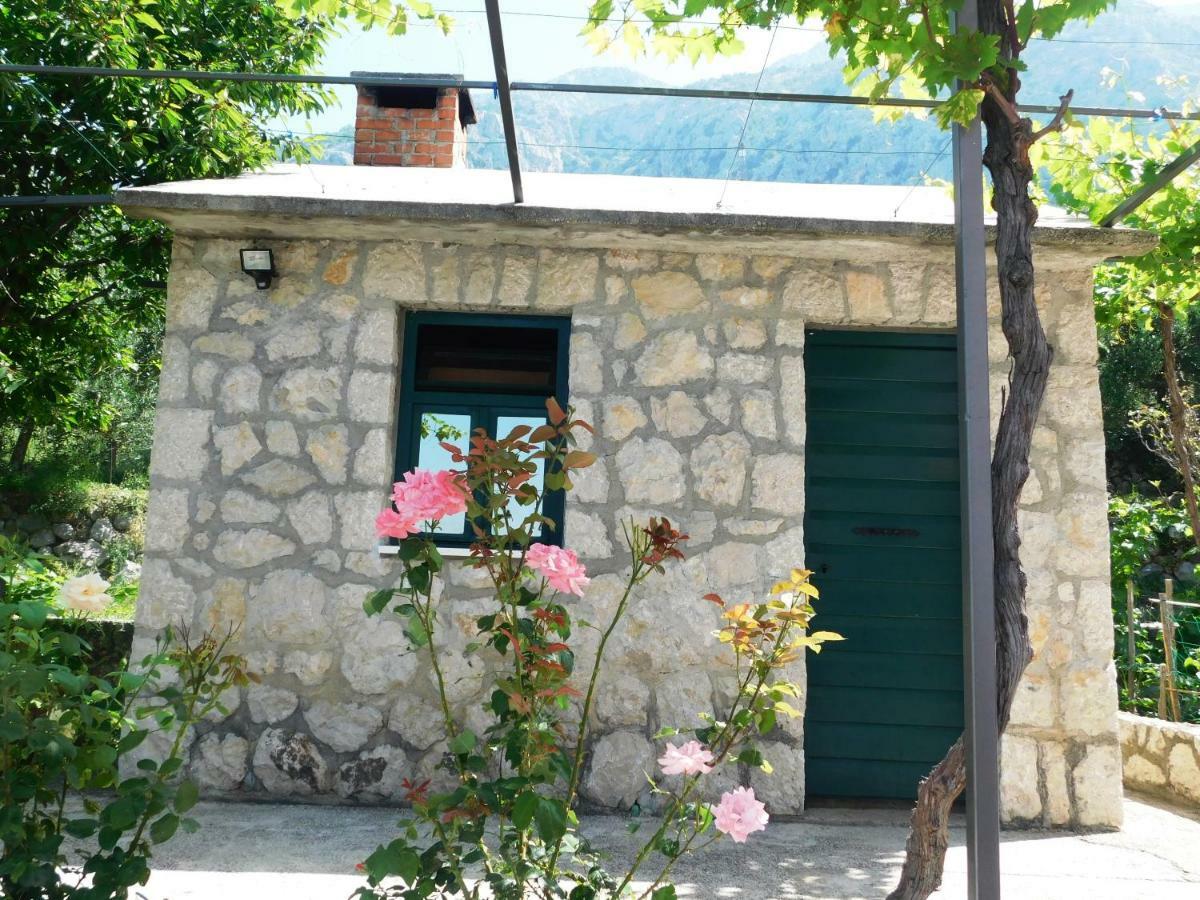 Apartman Niki Makarska Bagian luar foto